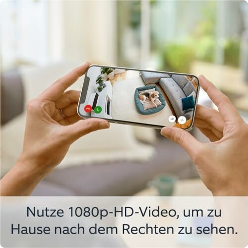 Person hält Smartphone mit Videoüberwachung von Haustier.